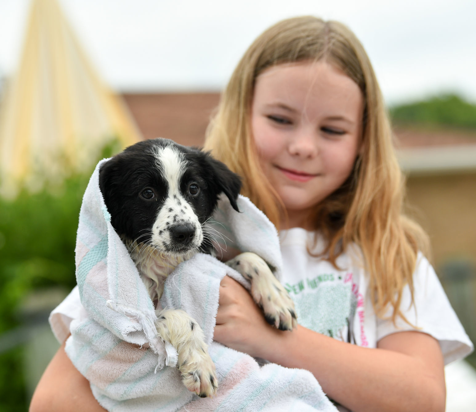 082919-bet-doggysplash-076a.JPG